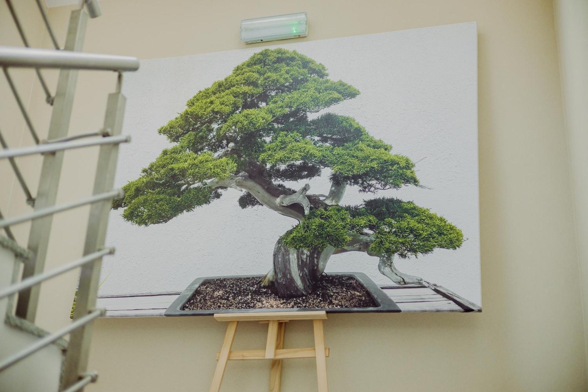 Hotel Bonsai Niemcza Exteriör bild