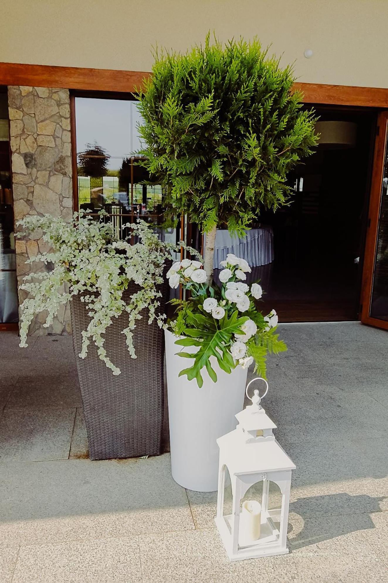 Hotel Bonsai Niemcza Exteriör bild